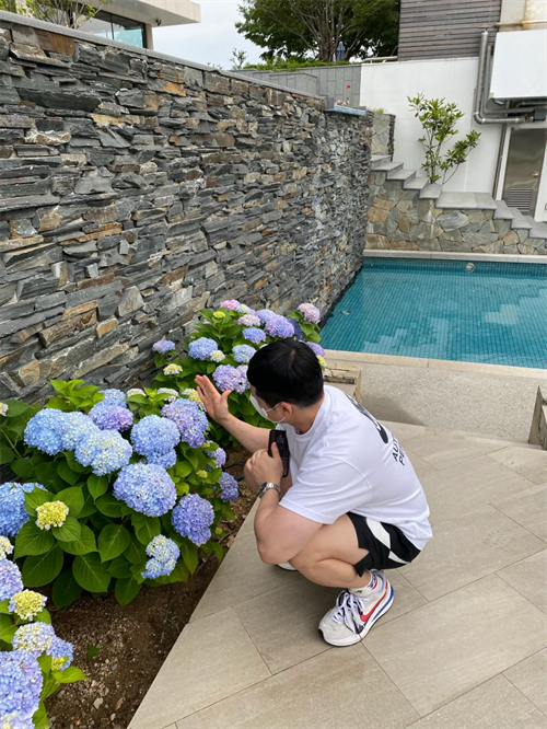 나이키 x 사카이 베이퍼와플 로얄 푸시아 CV1363-100 photo review